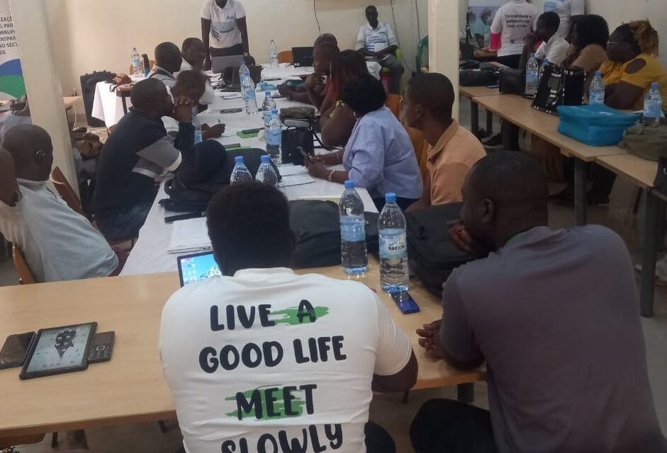 Regiões/ Técnicos de Saúde da Região de Gabu iniciam formação sobre prevenção da corrupção no sector  