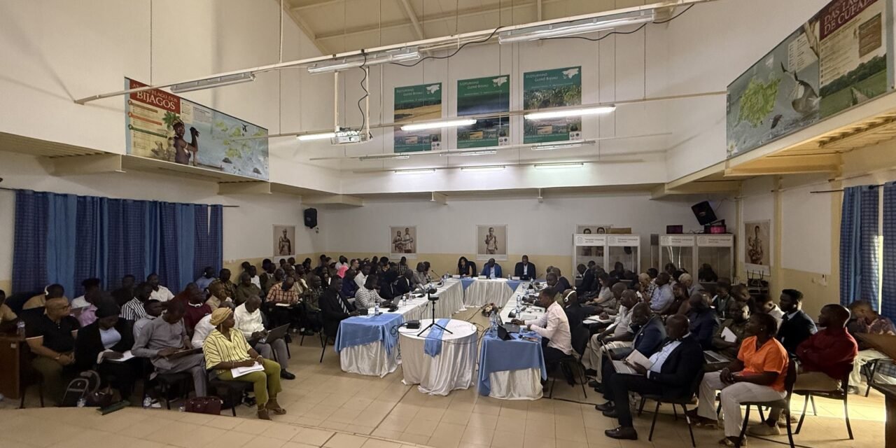 IBAP e SNAP apresentam Plano de Ação para 2026 e projetos prioritários