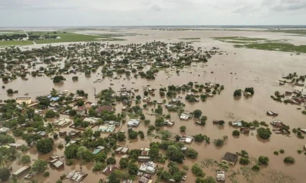 Moçambique/ Mortes pela inundação sobem para 270