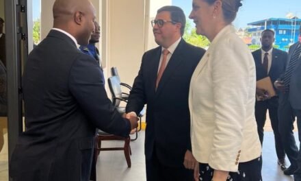 Ministro dos Negócios Estrangeiros manifesta ao  enviado Especial do Presidente dos Estados Unidos de América Chistian Ehrhardt interesse  de fortalecimento de cooperação  bilateral