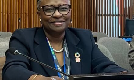 Presidente do Instituto de Saúde Global e Desenvolvimento da Guiné-Bissau defende maior visibilidade de mulheres na administração sanitária global