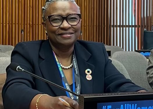 Presidente do Instituto de Saúde Global e Desenvolvimento da Guiné-Bissau defende maior visibilidade de mulheres na administração sanitária global