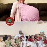 Marrocos/Cidade marroquina de Laâyoune acolhe de 27 a 28 de Março 1º congresso africano de neonatologia