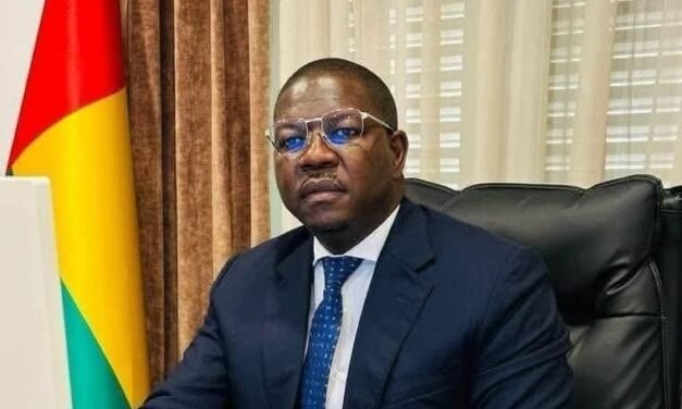 Governo autoriza concessão de 100 mil hectares de terras para fins agrícolas