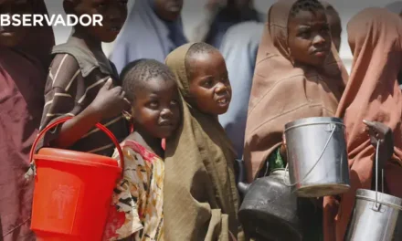 Somália/CICV alerta para o risco iminente de agravamento da crise alimentar