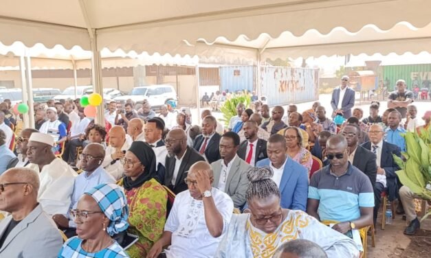 ANAG sugere criação urgente de fundos para renovação das plantações de caju