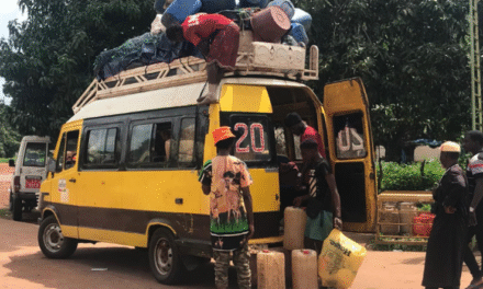 Governo ameaça aplicar  sanções  contra  cobranças ilícitas dos produtos alimentícios de origem florestais e artesanais