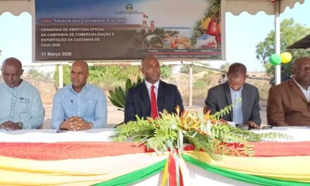 ”Governo continuará empenhado na promoção da transformação local da castanha de caju para criar emprego jovem”,  diz ministro João Bernardo Vieira