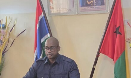 Liga dos Embaixadores Africanos entra em fase operacional com posse de novos comités