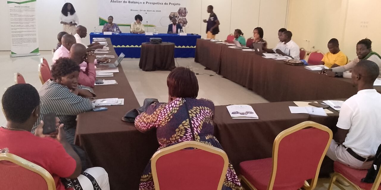 Secretária Executiva do SNLS enaltece papel do Projecto FEVE Impulse na luta contra VIH-Sida no país