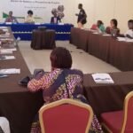 Secretária Executiva do SNLS enaltece papel do Projecto FEVE Impulse na luta contra VIH-Sida no país