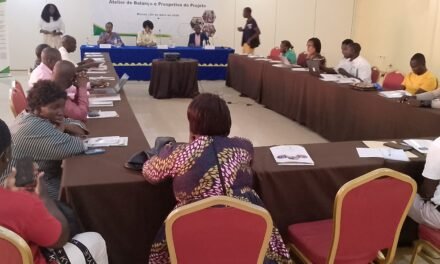 Secretária Executiva do SNLS enaltece papel do Projecto FEVE Impulse na luta contra VIH-Sida no país