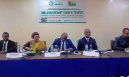 “O projeto de Política Nacional de Energia demonstra o compromisso do Executivo com a reorganização, modernização e estruturação do setor”, diz ministro da Energia