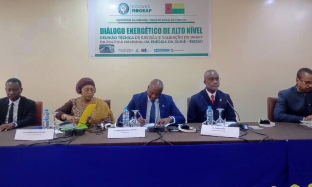 “O projeto de Política Nacional de Energia demonstra o compromisso do Executivo com a reorganização, modernização e estruturação do setor”, diz ministro da Energia