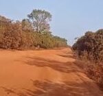 Regiões/Sindicato de Motoristas de Quinara pede reabilitação de estradas antes das chuvas