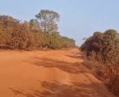 Regiões/Sindicato de Motoristas de Quinara pede reabilitação de estradas antes das chuvas