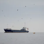 Médio Oriente/Navios são alvo de disparos no Estreito de Ormuz, apesar de cessar-fogo entre EUA e Irã