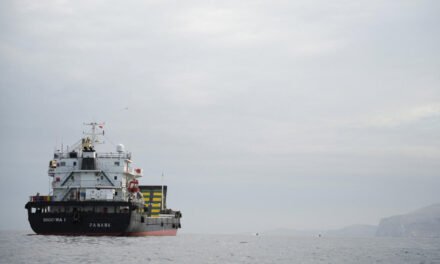 França/ Governo e Reino Unido articulam missão multinacional pacífica para proteger navegação em Ormuz