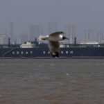 Médio Oriente/Irã anuncia rotas alternativas no Estreito de Ormuz e avalia criar ‘pedágio’ com aval de Trump