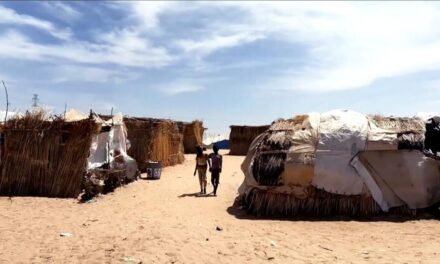 Suíça/OIM mobiliza 277 milhões de dólares para apoiar populações deslocadas no Sudão