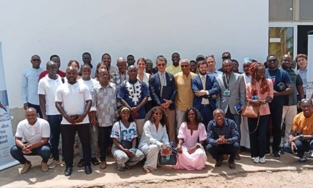 Coordenadora da WANEP-GB pede reforço de promoção da paz à  organizações da sociedade civil