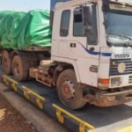 Lançada campanha de escoamento da castanha de caju para  Bissau