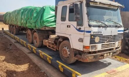 Lançada campanha de escoamento da castanha de caju para  Bissau