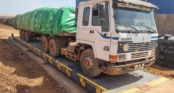 Lançada campanha de escoamento da castanha de caju para  Bissau