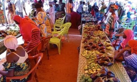 Regiões/ Governador da região de Oio defende transformação local dos produtos nacionais