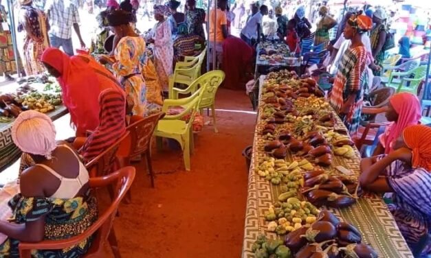 Regiões/ Governador da região de Oio defende transformação local dos produtos nacionais