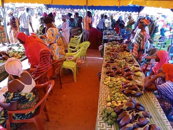 Regiões/ Governador da região de Oio defende transformação local dos produtos nacionais