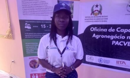Regiões/PAM  apresenta novos créditos às cooperativas agrícolas da região de Gabu