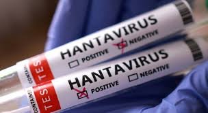 Suíça/Surto de Hantavírus “não é o início de uma epidemia, nem de uma pandemia” – OMS