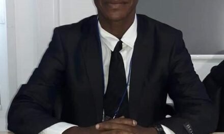 Dia Mundial das Abelhas/ “Extinção de abelhas no mundo, constituiria risco para sobrevivência humana no planeta”, diz perito guineense