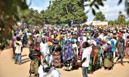 África do Sul/ Governo deporta cerca de 600 moçambicanos vítimas de xenofobia