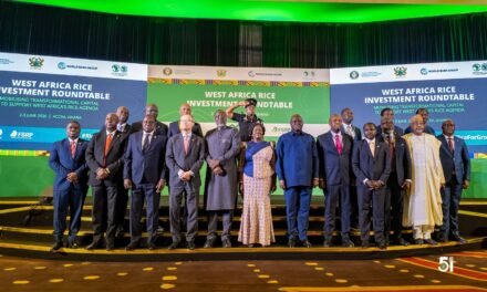 Agricultura/CEDEAO mobiliza parceiros internacionais para acelerar autosuficiência em arroz na África Ocidental até 2035