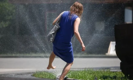 França/Onda de calor na Europa matou 1.300 pessoas desde 21 de Junho – OMS
