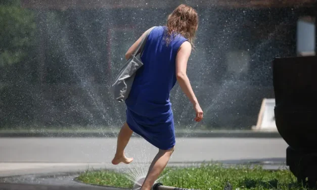 França/Onda de calor na Europa matou 1.300 pessoas desde 21 de Junho – OMS