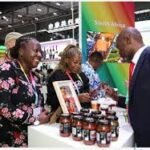 China/Políticas, abertura e plataformas fortalecem cooperação comercial China-África