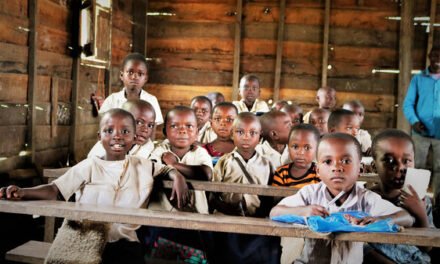 Dia da Criança Africana/”O Estado deve atribuir maior prioridade aos setores sociais, particularmente à educação e saúde”, diz Formador da Aldeia SOS