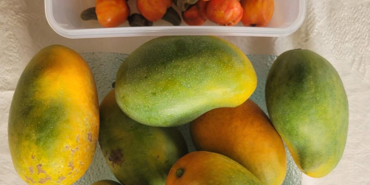 FRUTAS da GUINÈ-BISSAU