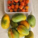 FRUTAS da GUINÈ-BISSAU
