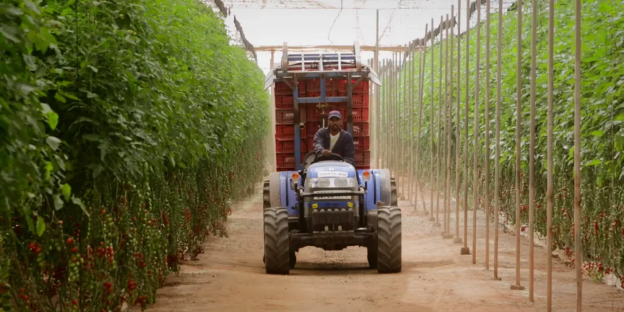 Marrocos/A transformação da agricultura africana no centro de uma estratégia de cooperação Sul-Sul
