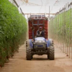 Marrocos/A transformação da agricultura africana no centro de uma estratégia de cooperação Sul-Sul