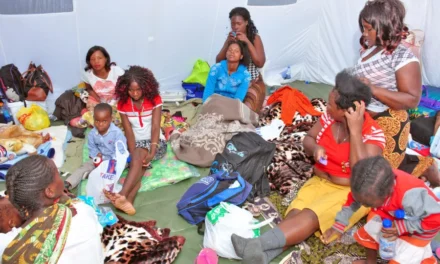 Moçambique/ Governo  repatria 201 malauianos vítimas de xenofobia na África do Sul