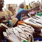 ACOBES elogia Governo pela redução de preços de pescado, mas lamenta obstáculos na  implementação prática da medida