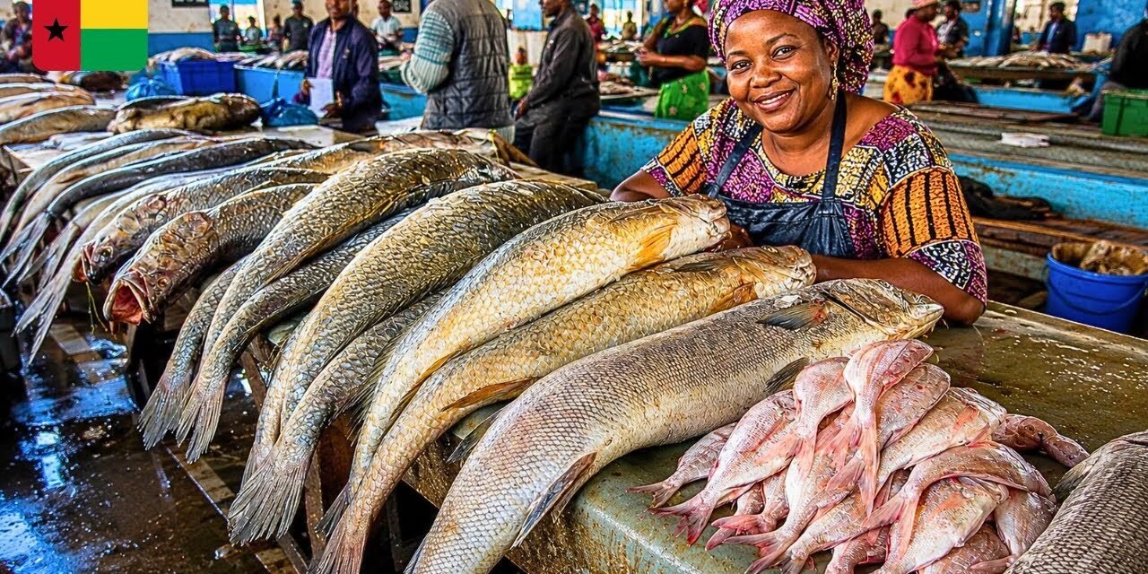 Governo anuncia nova tabela de preços de venda de pescado a ser praticado por  pescadores e vendedeiras