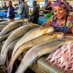 Governo anuncia nova tabela de preços de venda de pescado a ser praticado por  pescadores e vendedeiras