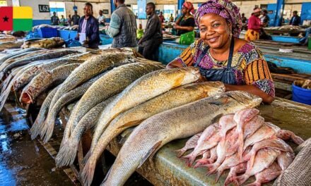 Governo anuncia nova tabela de preços de venda de pescado a ser praticado por  pescadores e vendedeiras