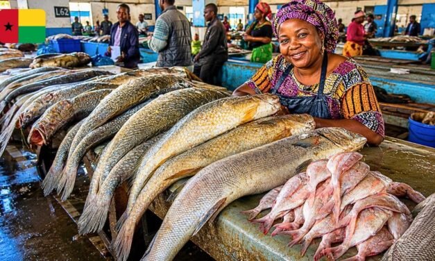 Governo anuncia nova tabela de preços de venda de pescado a ser praticado por  pescadores e vendedeiras